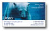 Ursus Networking & Consulting Services
